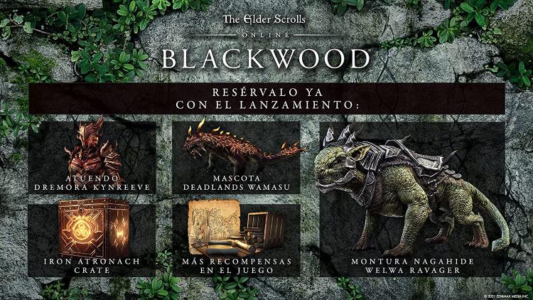 The Elder Scrolls Online Collection Blackwood PS4 PlayStation Spiel Deutsch