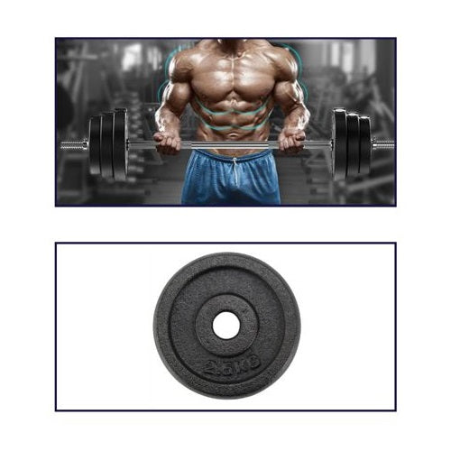 Hantelscheibe Hantel Ø 30 mm Gusseisen Fitnessstudio Bodybuilding 2,5 kg