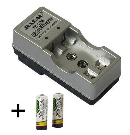 CARICA BATTERIE + 2 PILE RICARICABILI CARICATORE 220 VOLT PER AA AC 220V DA CASA