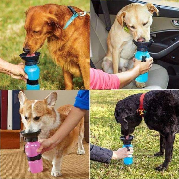 Tragbare Trinkflasche für Hunde Katzen Haustiere Wasserspender Trinknapf Reisenapf