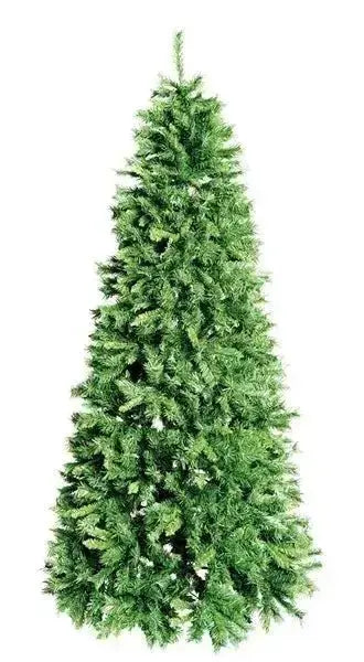 Weihnachtsbaum „Royal Slim“