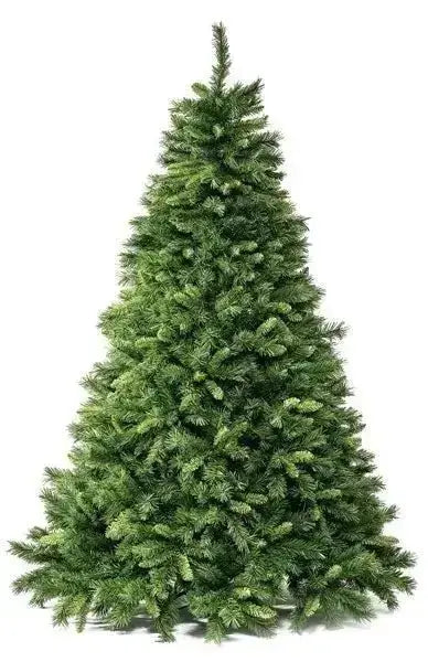 Weihnachtsbaum Royal H. 180 cm