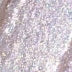 Astra Make-Up Chromo Therapy Liquid Eyeshadow Ombretto Liquido 3 ml