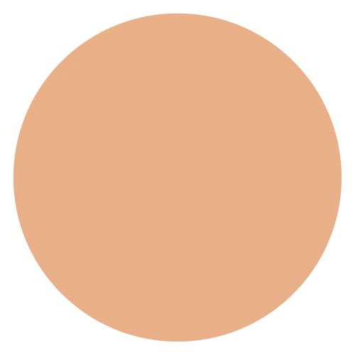 Astra Make-Up Natural Skin Powder Cipria Compatta 7 gr