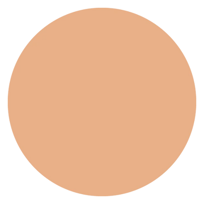Astra Make-Up Natural Skin Powder Cipria Compatta 7 gr