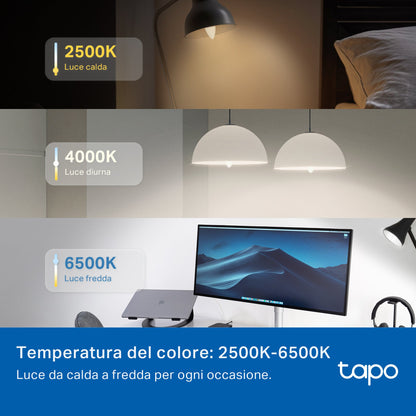 Tapo L430C Lampadina LED Smart Wi-Fi Multicolore E14, Controllo Vocale con Alexa, 4pz