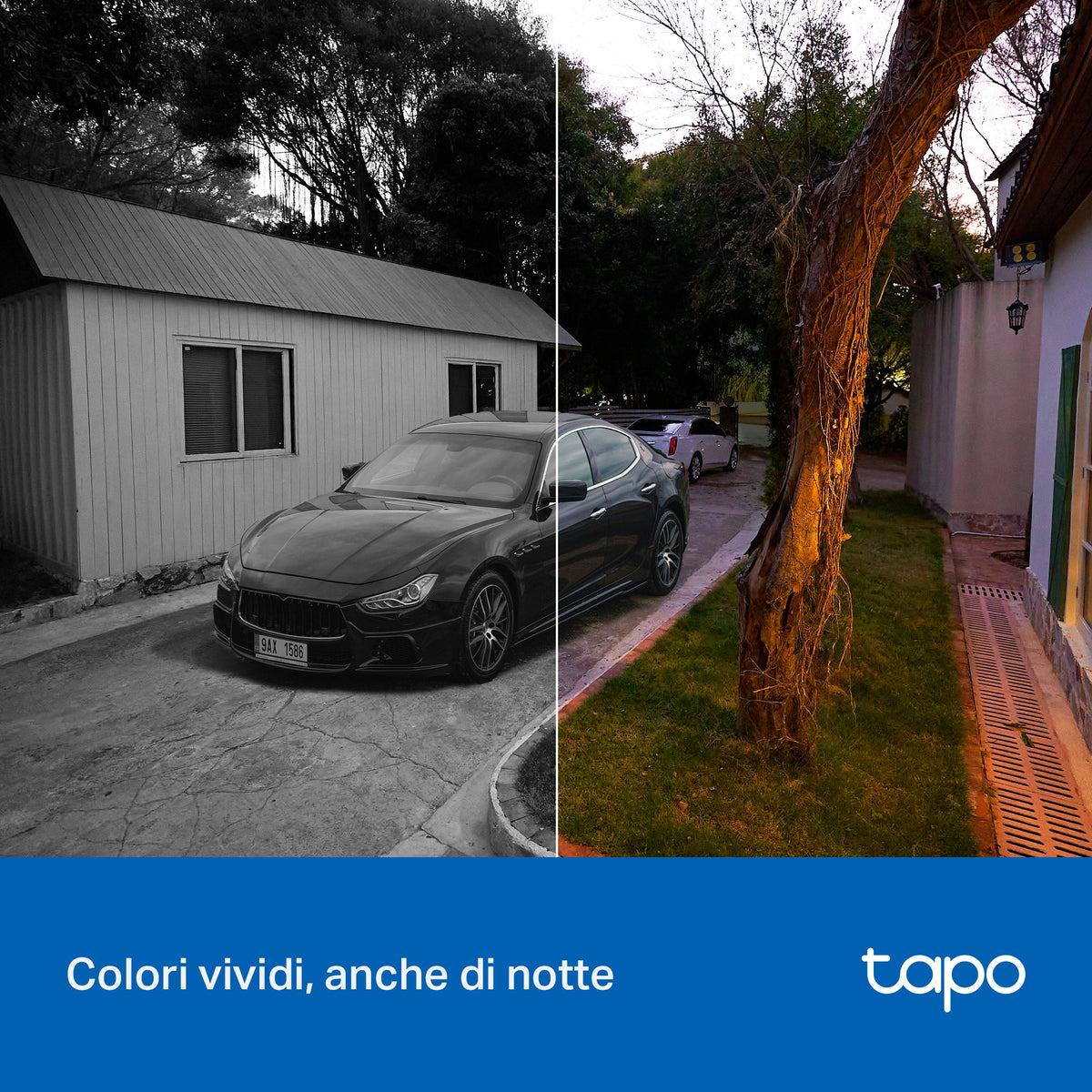 Tapo C236 Telecamera WiFi Esterno/Interno 3K 5MP, Visione a Colori, 360° PTZ