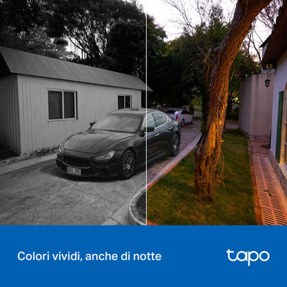 Tapo C206 Telecamera WiFi Interno/Esterno FHD, Visione a Colori, 360° PTZ