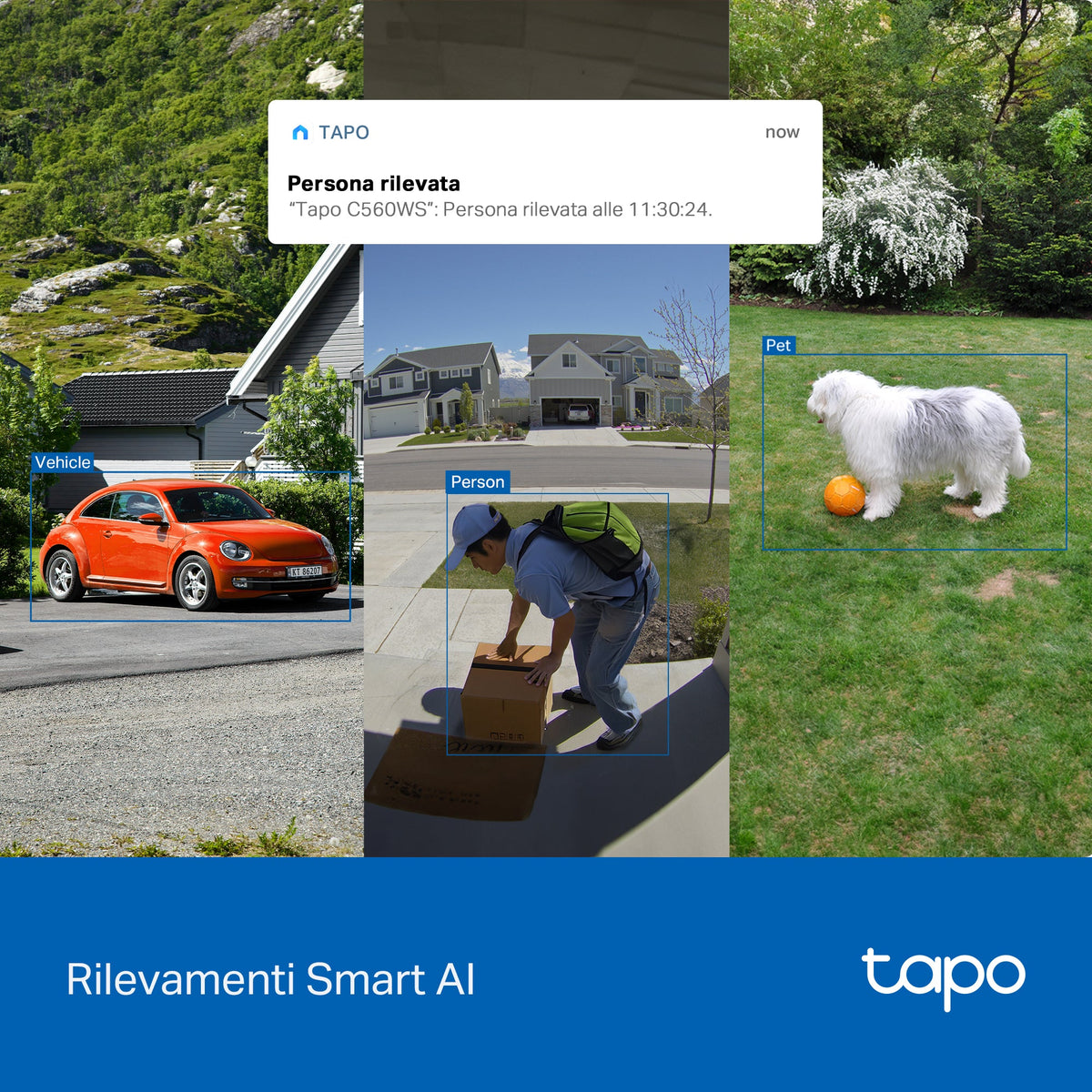 Tapo C560WS Telecamera WiFi Esterno 4K 8MP, Starlight, 360° PTZ, Starlight