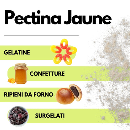 Pectina Gialla (Jaune) SaporePuro - Gelatine di Frutta, Marmellate, Gel Spessi