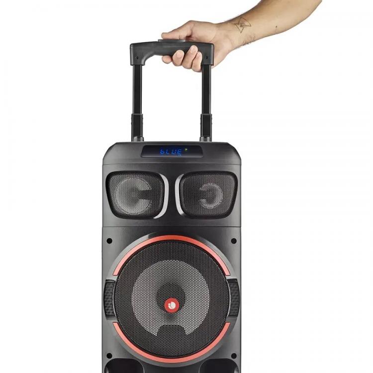 Ngs Aktiver Lautsprecher Trolley Speaker Bluetooth Mikrofon Karaoke Wild Dub Zero