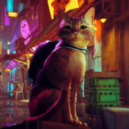 Stray Ps5 Videogioco Nuovo Italiano Gioco Play Station 5 Sigillato Cat Game
