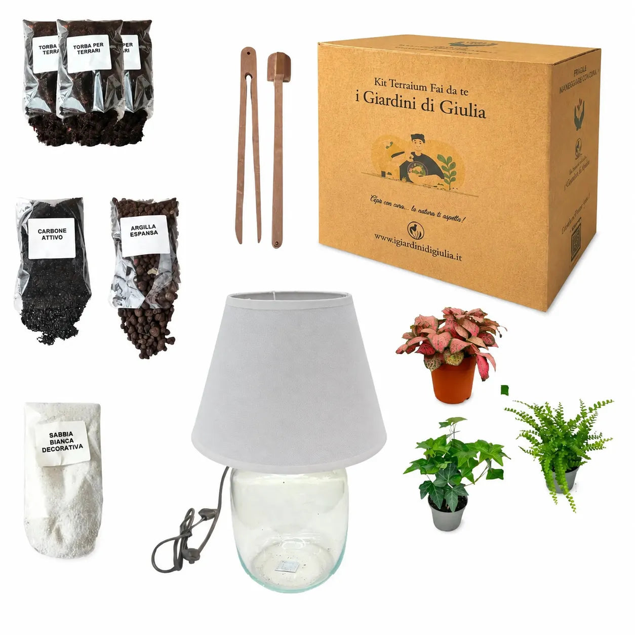 Kit Terrarium Lamparium Medio con piante verdi
