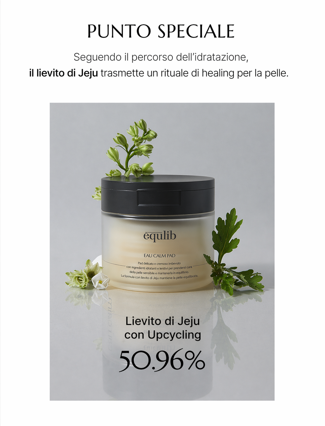 equlib EAU CALM PAD (100 Stk.)