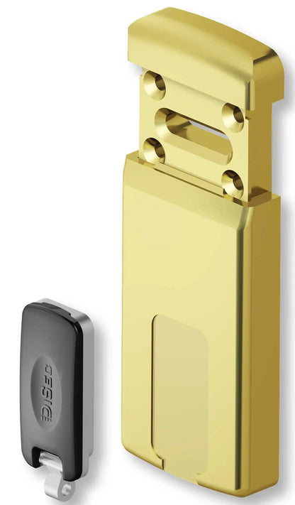 Doppel-Magnetplatte Minimag mit diebstahlsicherem Sicherungssystem aus Messing Gelb 15x55
