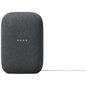 Google Nest Audio Smart Speaker Spotify Home Assistant Chromecast iOS Black