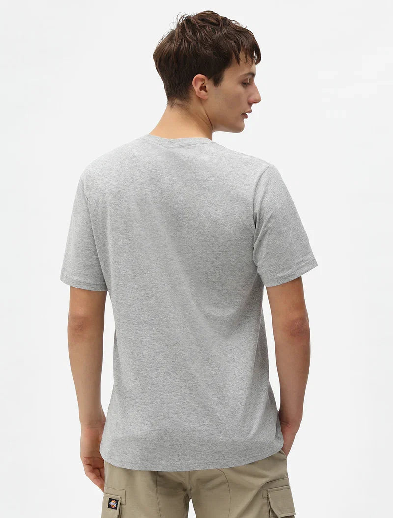 Dickies T-shirt manica corta da uomo  Mapleton DK0A4XDBGYM grey mela
