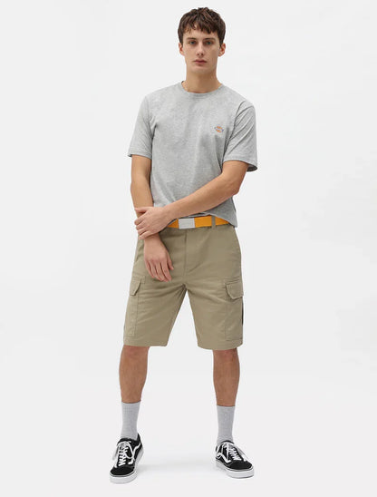 Dickies T-shirt manica corta da uomo  Mapleton DK0A4XDBGYM grey mela