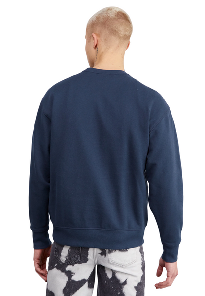 Dickies Felpa girocollo da uomo Millersburg DK0A4YLZDNX1 blu
