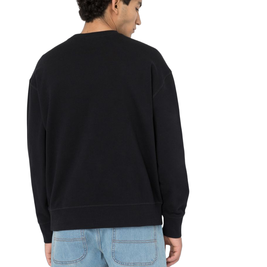 Dickies Felpa girocollo da uomo Millersburg DK0A4YLZBLK nero