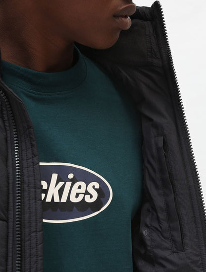 Dickies Piumino Waldenburg Uomo DK0A4XP2BLK1 Nero Resistente Acqua