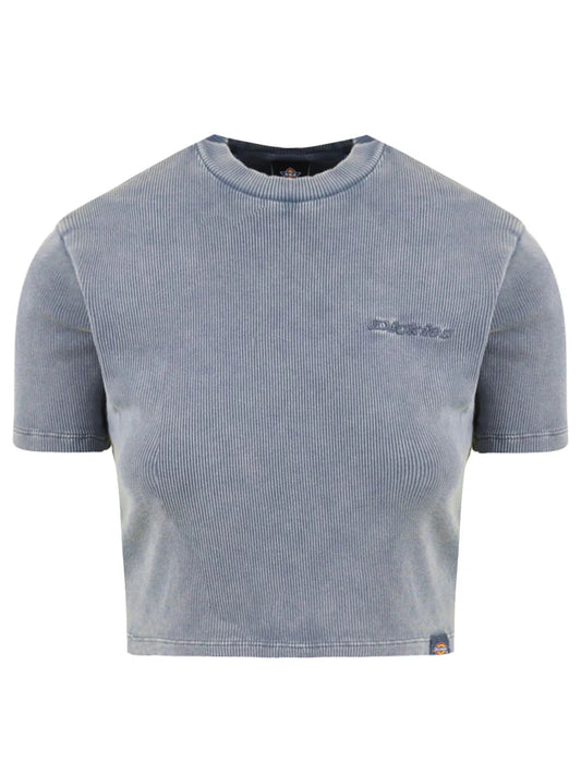 Dickies T-Shirt Donna Plentywood Coste DK0A866FL391 Stormy Weather | XS-L