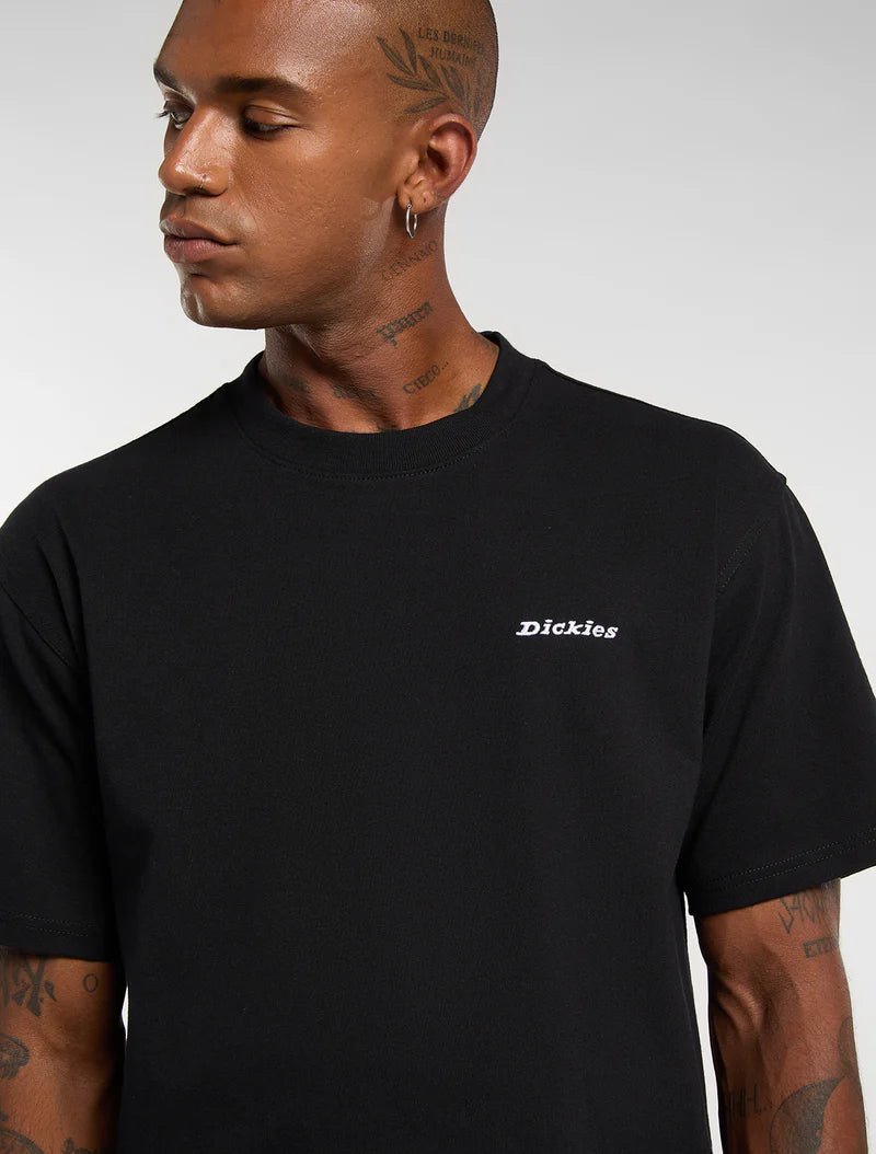 Dickies T-shirt di peso medio Loretto DK0A89ENBLK1 Nero