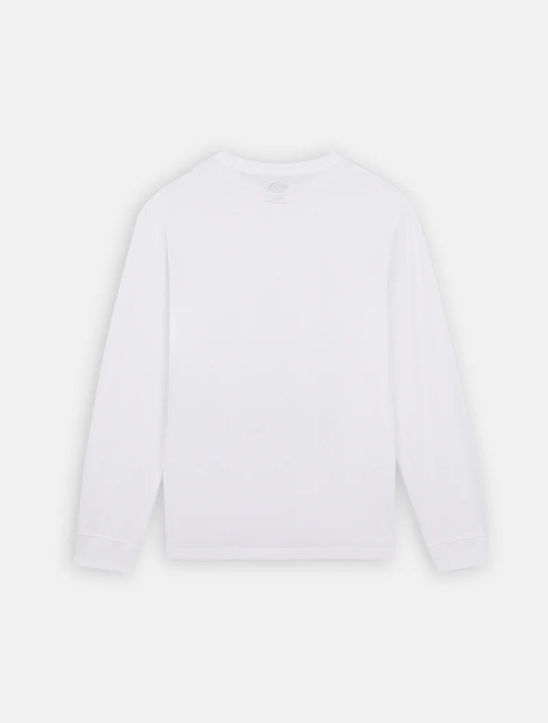 Dickies T-shirt leggera da uomo Mapleton DK0A4Y4RWHX1 bianco