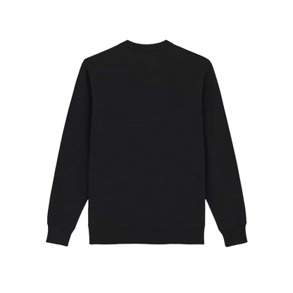 Dickies felpa girocollo da uomo Aitkin DK0A4XABJ941 nero