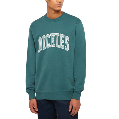 Dickies felpa girocollo da uomo Aitkin DK0A4XABJ951 verde salvia