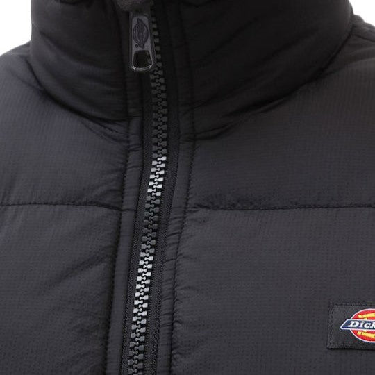 Dickies Piumino Waldenburg Uomo DK0A4YEYBLK Nero | Giacca Cappuccio Idrorepellente