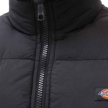 Dickies Piumino Waldenburg Uomo DK0A4YEYBLK Nero | Giacca Cappuccio Idrorepellente