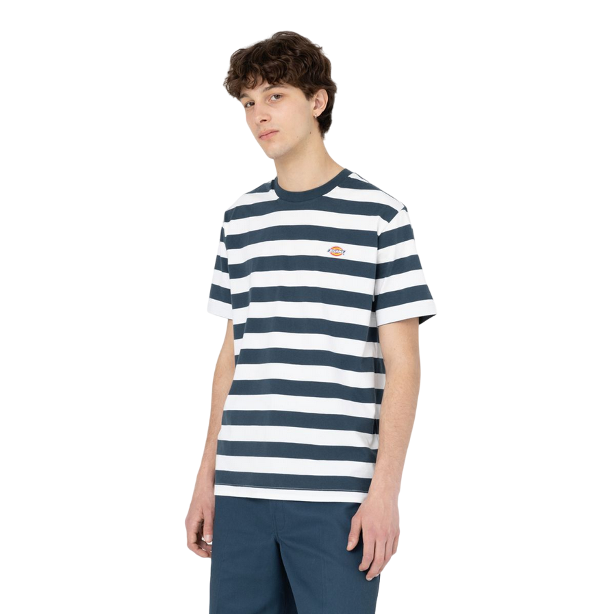 Dickies Men's Rivergrove Striped Short Sleeve Shirt DK0A4Y8YAF01 Blue