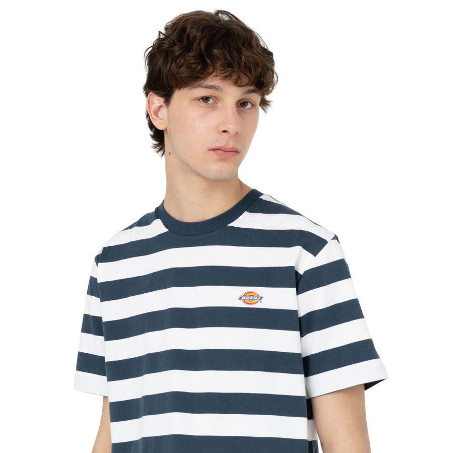 Dickies Men's Rivergrove Striped Short Sleeve Shirt DK0A4Y8YAF01 Blue
