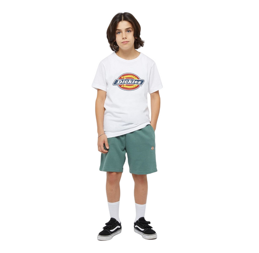 Dickies pantaloncino sportivo da ragazzi Mapleton DK0KRR33H151 foresta