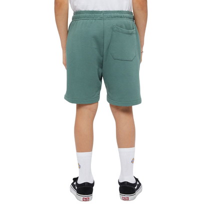 Dickies pantaloncino sportivo da ragazzi Mapleton DK0KRR33H151 foresta