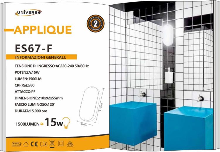 Deckenleuchte 15W Wandleuchte Oval Außenlampe LED Wand IP65 220V 6500K