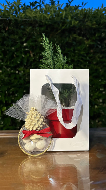 Set 5 Borse per Bomboniere 20cm x 15cm x 10cm con finestra trasparente