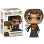 Funko Pop ! Harry Potter - (31) Harry W / Hedwig Edvige Figure Hogwarts 9Cm