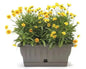 Bama Fiona Planter with Water Reservoir for Outdoor and Indoor Use