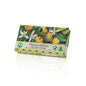 Florinda Italian Mosaics Vegetable Soap Bar Hands and Body Chinotto From Etna 100 gr
