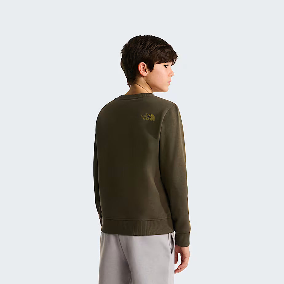 The North Face Felpa Drew Peak Junior Verde New Taupe Green - NF0A8AXX21L