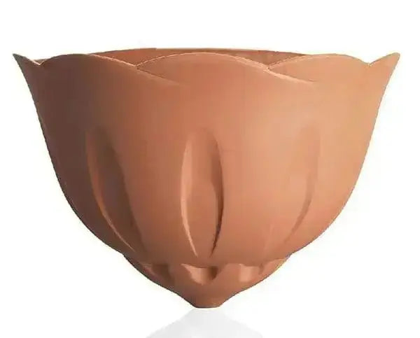 Bama gerla natura