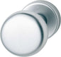Aluminium HOPPE knob with rose for entrance doors