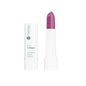 Hypoallergenic Collagen Plumping Color Lipstick Vegan Lipstick