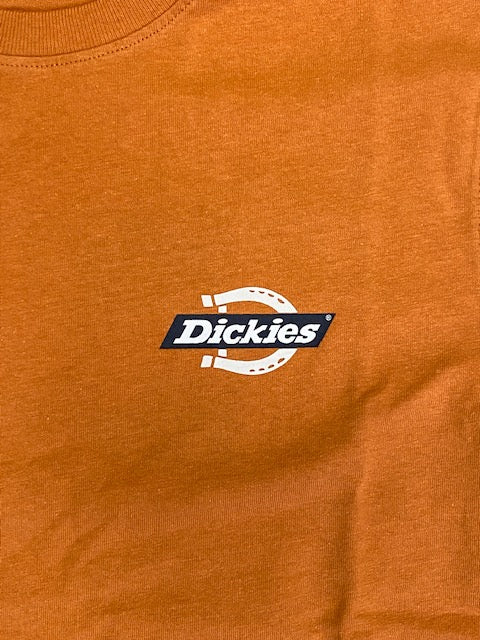 Dickies T-shirt manica corta da uomo Ruston Tee DK0A4XDC C38 giallo ocra