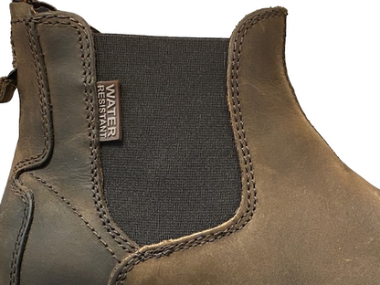 Shooters Stivaletto Pelle Uomo S3634 06 Dark Brown