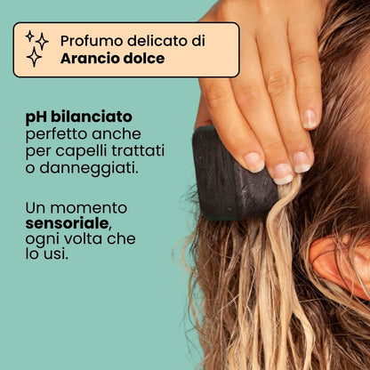 Shampoo Solido Purificante per capelli Grassi