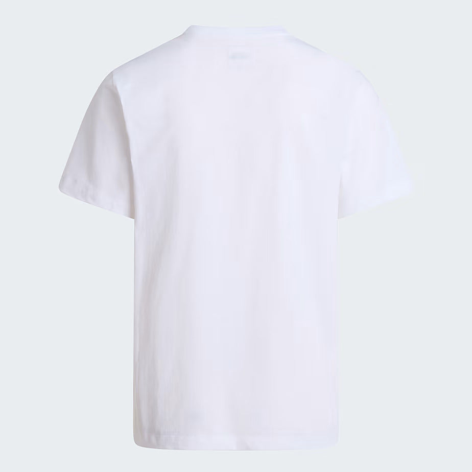 The North Face T-Shirt Evolution Simple Dome Regular Uomo Bianca - NF0A8CZ2FN4