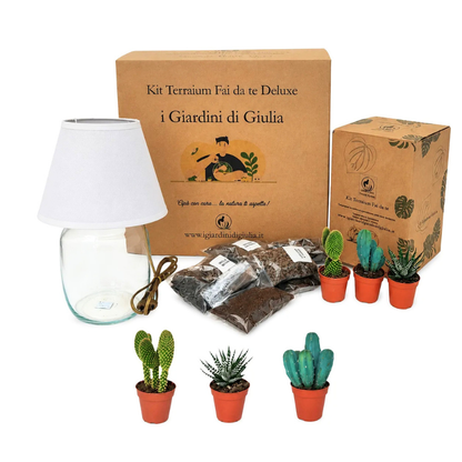 Terrarium-Lamparium-Set Medium mit Sukkulenten